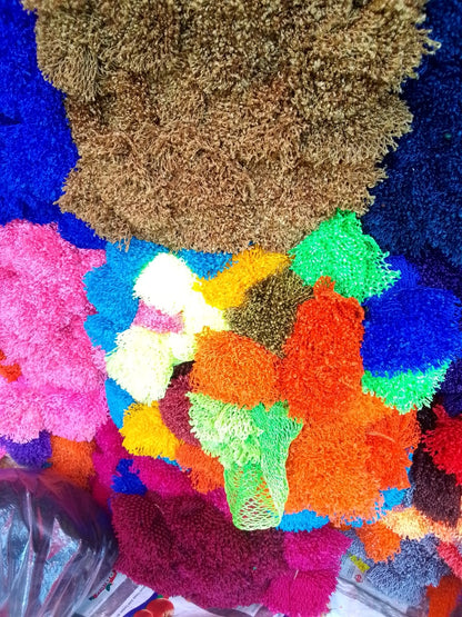African Net Sponges Sapo