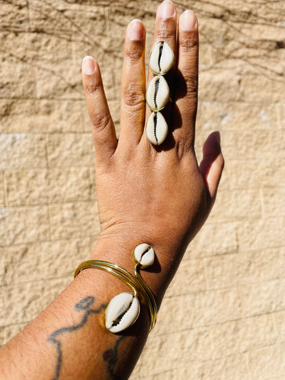 Double Cowrie above and below Brass 3/4 Bracelet